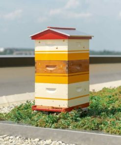 قسم الصناديق والنويات