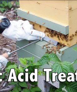 قسم العلاجات وصحة النحل