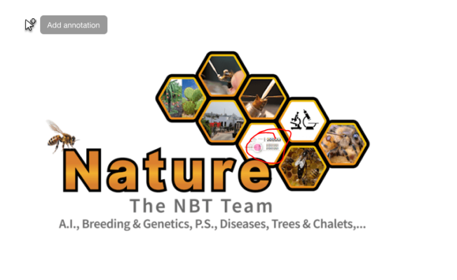 nature bees and trees