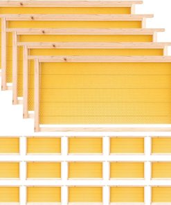 إطارات الخلية